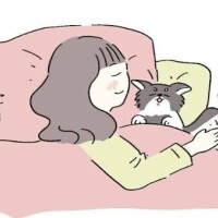 おやすみ～