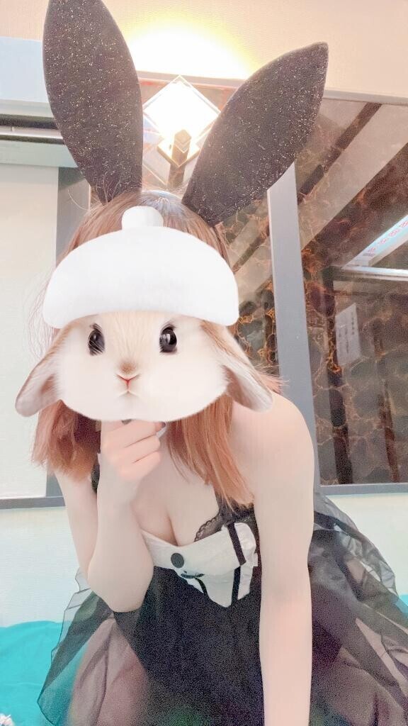 今日います??
