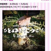 かりん