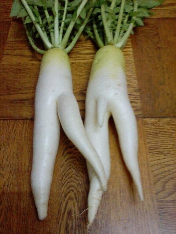ひとぬきイこうぜ??