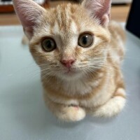 おやすみ～??