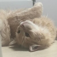 おやすみ～