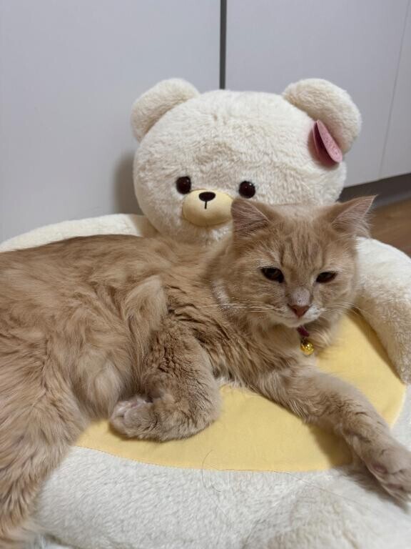 今日もありがとう?