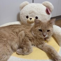 今日もありがとう?