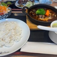 今日はおやすみ?