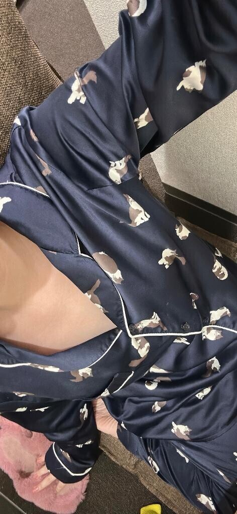今日はいるよ?