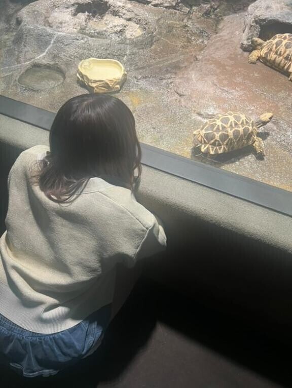 きたくぅー??