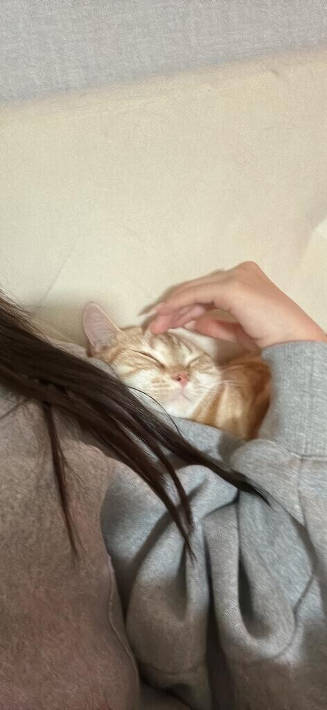 おやすみなさい(-_-)zzz