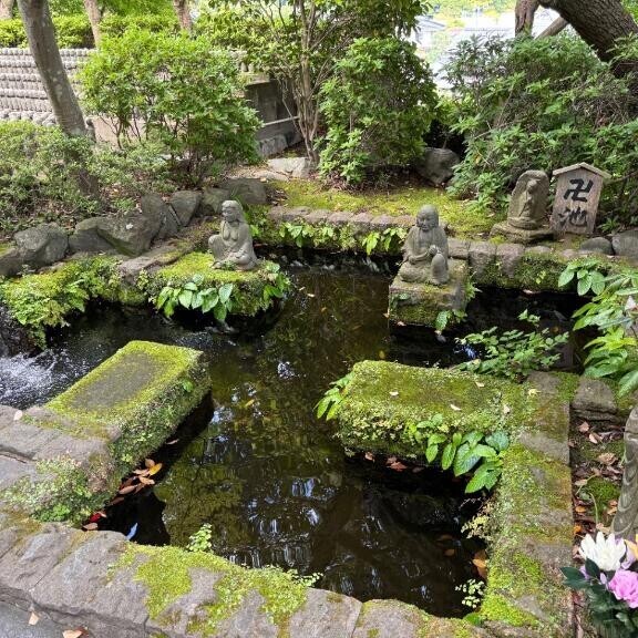 青い鳥が懐かしい