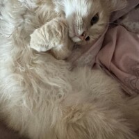 なう