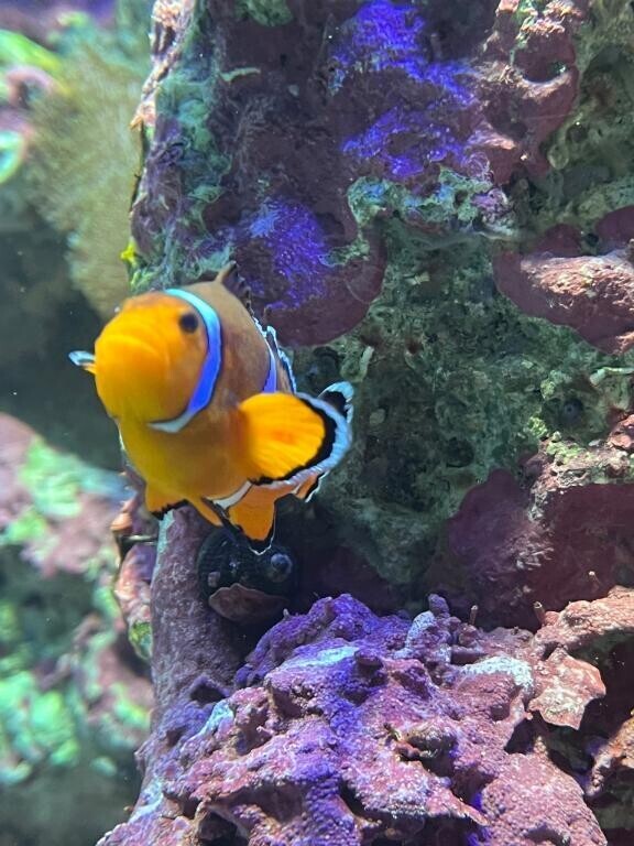 もう少し待ってね?