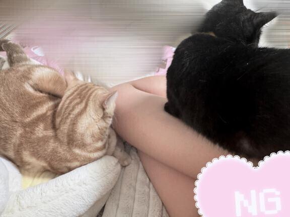?モテ期かも？&大事なお知らせ