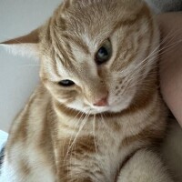 ごめんね、でも…あしたは会える?