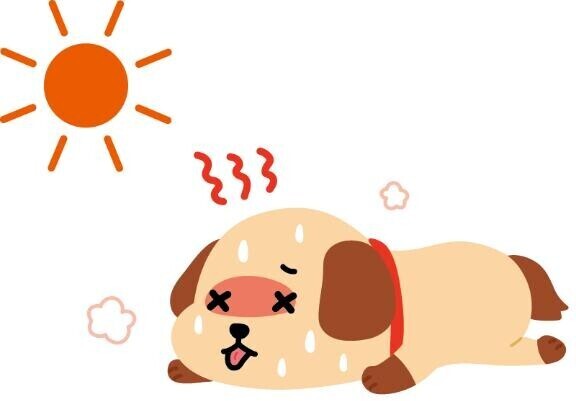 6日、ごめんなさいm(_ _)m