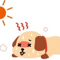 6日、ごめんなさいm(_ _)m