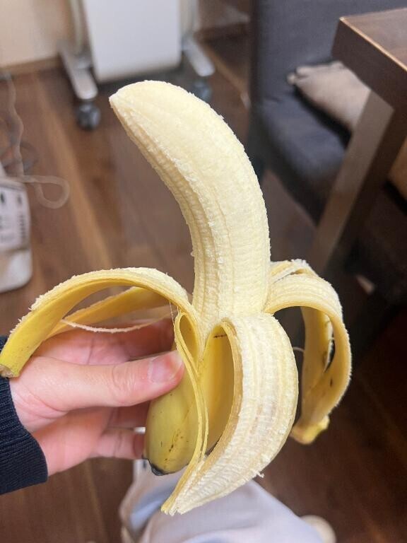 栄養が足りないらしい