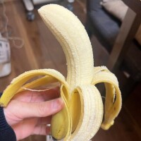 栄養が足りないらしい