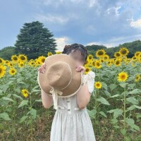 ひまわり?
