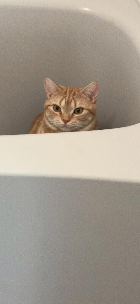 おやすみ??