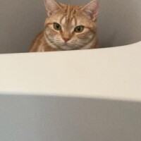 おやすみ??