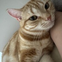 おやすみなさい??