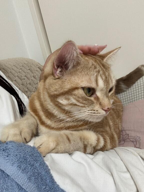 おやすみ(-_-)zzz