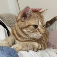 おやすみ(-_-)zzz