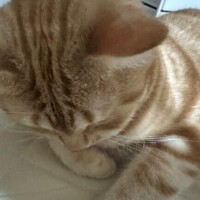 おやすみなさい??