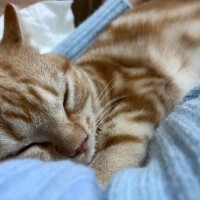 今日もありがとう??