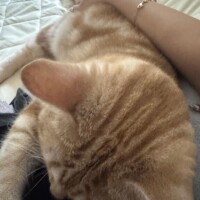 おやすみ(-_-)zzz