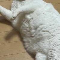 優しさとは、、！