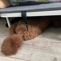 みらい