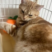 おはよう(*^o^*)