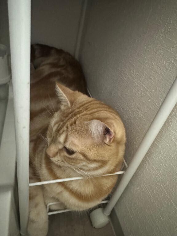 今日はおやすみ???♀?