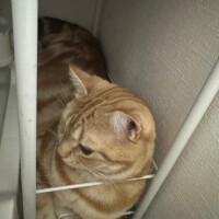 今日はおやすみ???♀?