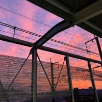 ぷにぷにもちもち