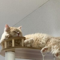 おやすみ(-_-)zzz