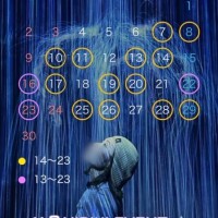 11月の予定??- ? -)