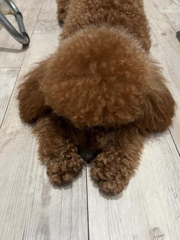 え 待ってうける