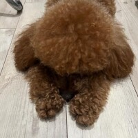 え 待ってうける