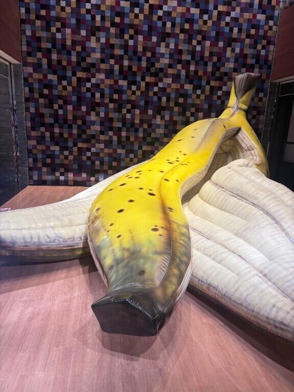 ぬけがらばにゃにゃ