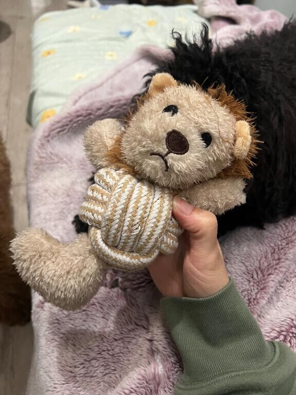 あしたいきます