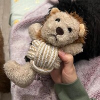 あしたいきます