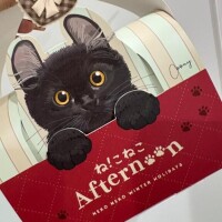 可愛い猫ちゃん??