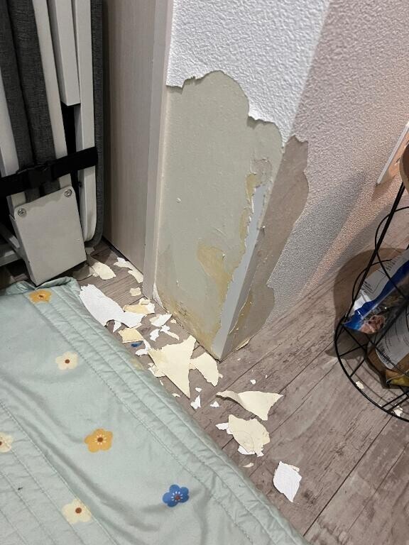 起きたらコレ。