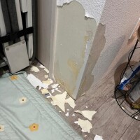 起きたらコレ。