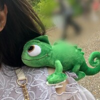 魔法にかけられて