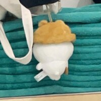 ごめんなさい???♀?