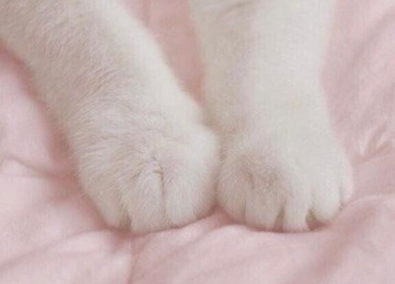 口コミありがとう