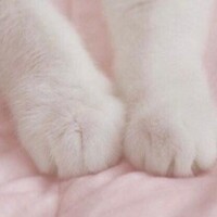 口コミありがとう